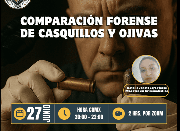 Captura de pantalla 2025-06-27 a las 1.02.41 a. m.